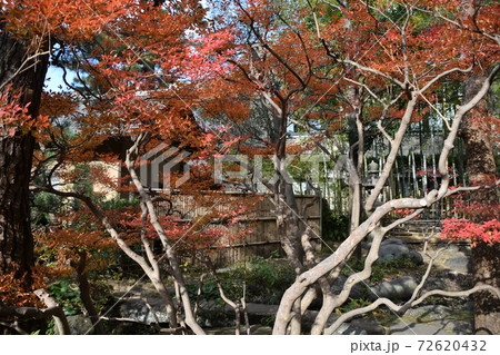 紅葉の松籟庵　茅ヶ崎市　 72620432