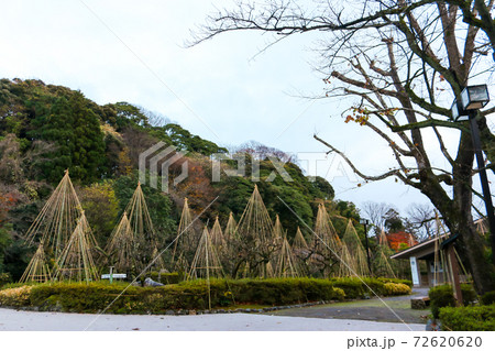 金沢市立中村記念美術館　庭園の雪吊り風景 72620620