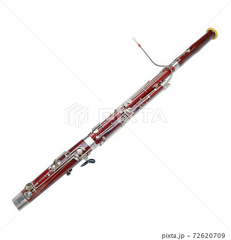 Bassoon Isolated on white 72620709