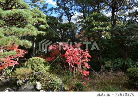紅葉の松籟庵　茅ヶ崎市　 72620876