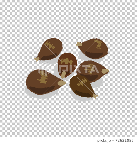 Coix seeds hand-painted 72621085