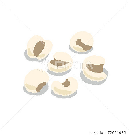 精白されたハトムギ　手描き 72621086