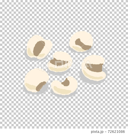 精白されたハトムギ　手描き 72621086