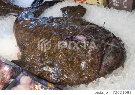 アンコウ　鮟鱇　あんこう　キアンコウ　冬　魚　茨城　大洗　冬の味覚　名物　鮮魚 72621092