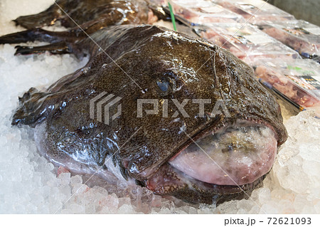 アンコウ　鮟鱇　あんこう　キアンコウ　冬　魚　茨城　大洗　冬の味覚　名物　鮮魚 72621093