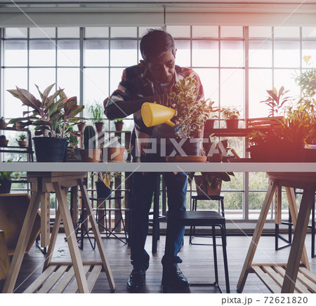 Senior Asian man is watering houseplant in his home gardening small business plant workshop. 72621820