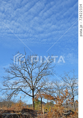 秩父・長瀞散歩:長瀞渓谷 秩父・長瀞散歩:長瀞渓谷 72622334