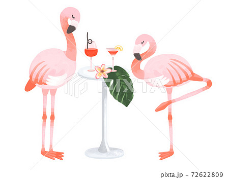 Fashionable Flamingo And Tropical Bar Image Stock Illustration