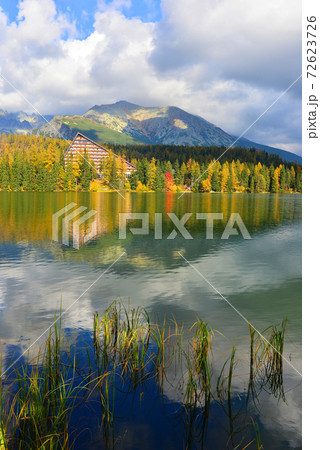 Autumn landscape 72623726