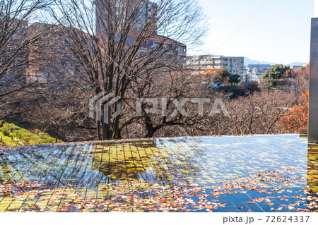 水面にに浮かぶ紅葉　水のある公園　冬 72624337