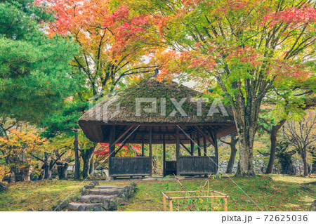 小諸城址懐古園の紅葉 小諸城址懐古園の紅葉 72625036