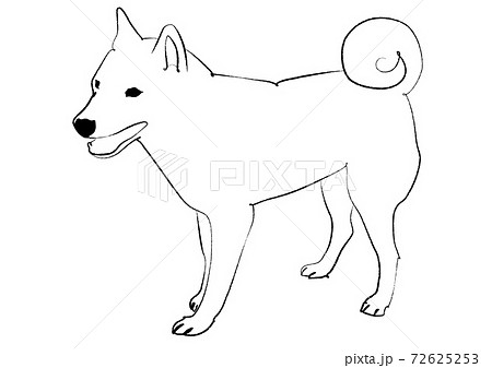何かに気付いた日本犬　手描き風線画 72625253