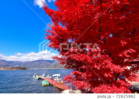 河口湖の紅葉 河口湖の紅葉 72625962