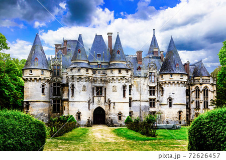Mysterious fairy-tale castles - Chateau de vigny, France 72626457