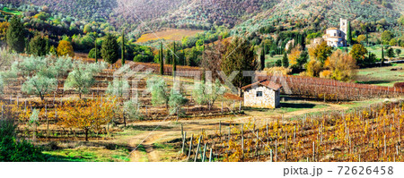 Magic autumn landscapes in Tuscany countryside. Vine region of Italy Magic autumn landscapes in Tuscany countryside. Vine region of Italy 72626458