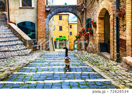 Charming floral streets of old Italian villages. Casperia in Rieti province 72626534