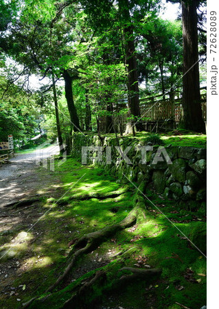 気多大社(石川県) 気多大社(石川県) 72628089