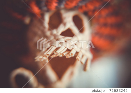 Braided skeleton doll macro view Braided skeleton doll macro view 72628243
