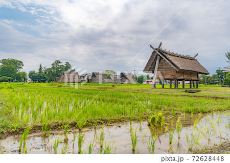 登呂遺跡 72628448