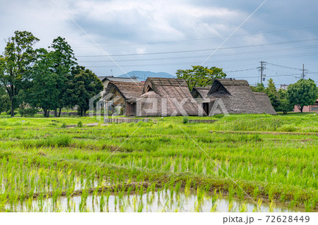 登呂遺跡 登呂遺跡 72628449