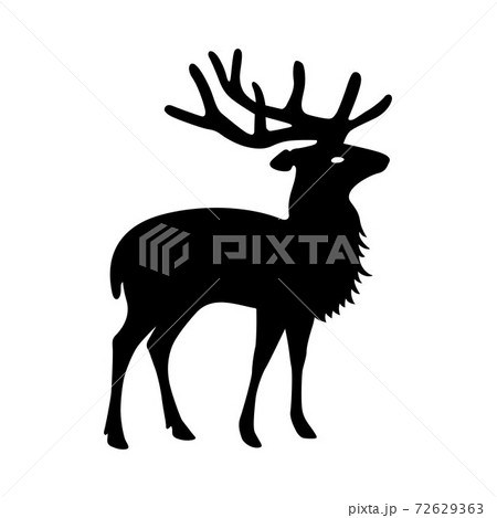 Deer 72629363