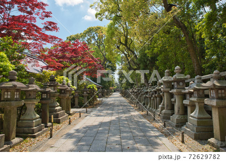 【京都府】5月・新緑時期の石清水八幡宮 【京都府】5月・新緑時期の石清水八幡宮 72629782