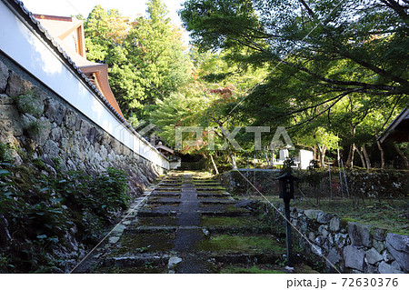 荘厳寺 参道(兵庫県 西脇市 黒田庄) 荘厳寺 参道(兵庫県 西脇市 黒田庄) 72630376