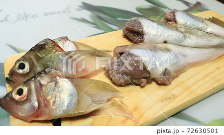 魚　ハタハタ 72630501
