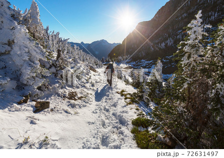 Winter hike Winter hike 72631497