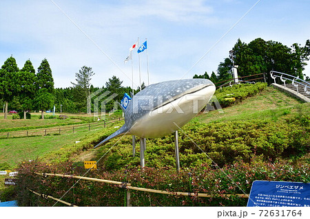 のとじま水族館（石川県） 72631764