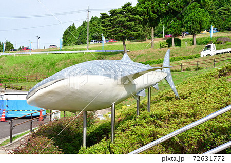 のとじま水族館（石川県） 72631772