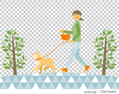 Woman walking a dog in the park Woman walking a dog in the park 72635660