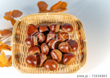 秋の味覚生栗 72636865