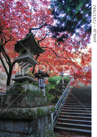 11月　南足柄55大雄山最乗寺の紅葉 72637662