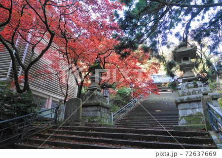 11月 南足柄48大雄山最乗寺の紅葉 11月 南足柄48大雄山最乗寺の紅葉 72637669