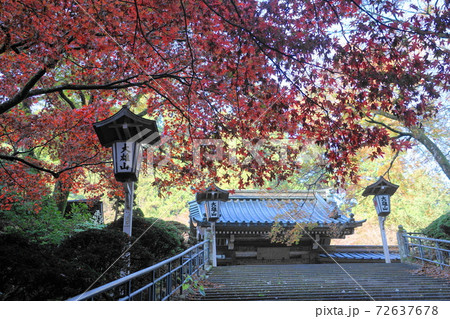 11月　南足柄40大雄山最乗寺の紅葉 72637678