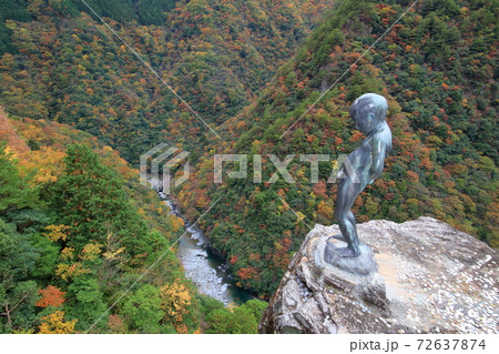 祖谷渓　小便小僧　紅葉　(徳島県） 72637874