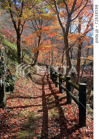 瀬戸川渓谷　晩秋　遊歩道　（高知県）	 72638598