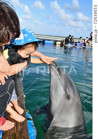 お母さんと一緒にイルカに初めて触れる子供 お母さんと一緒にイルカに初めて触れる子供 72639053