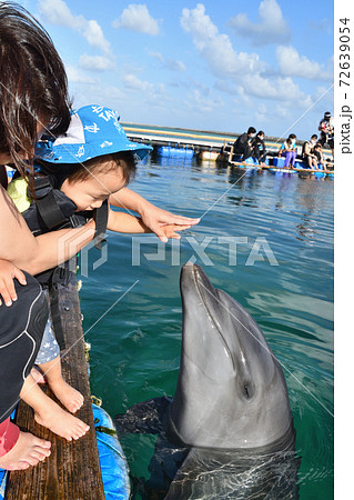 お母さんと一緒にイルカに初めて触れる子供 お母さんと一緒にイルカに初めて触れる子供 72639054