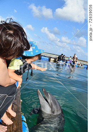 お母さんと一緒にイルカに初めて触れる子供　 72639056