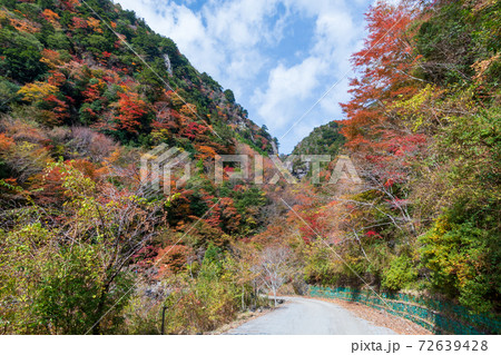 大荒の滝　車道からの眺め　紅葉　（高知県　香美市）	 72639428