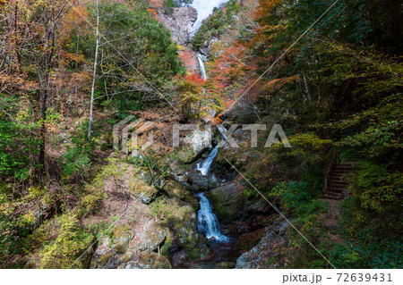 大荒の滝　自然美　秋　（高知県　香美市） 72639431