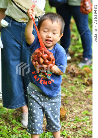 栗拾いを楽しむ子供 栗拾いを楽しむ子供 72639481