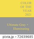 Color of the 2021 year 72639685