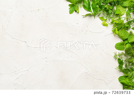 ハーブ(ミント・チャービル・イタリアンパセリ・ディル) ハーブ(ミント・チャービル・イタリアンパセリ・ディル) 72639733