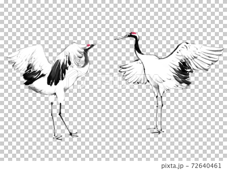 丹頂鶴 72640461