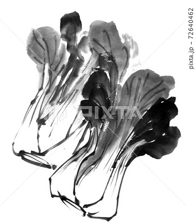 青梗菜 青梗菜 72640462