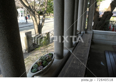 西洋館の柱と植込みと街路樹 西洋館の柱と植込みと街路樹 72640518