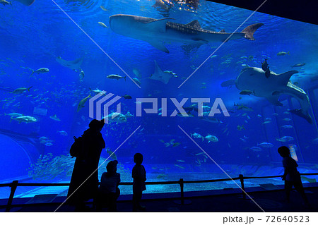 水族館で水槽を眺める親子の後ろ姿の写真素材